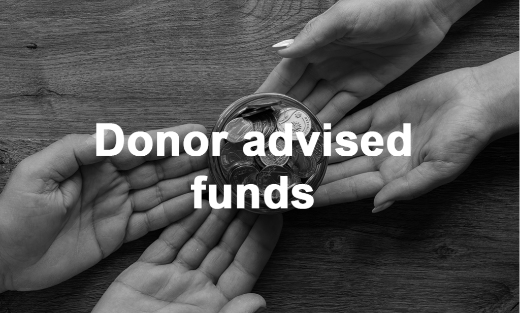 donor advised funds