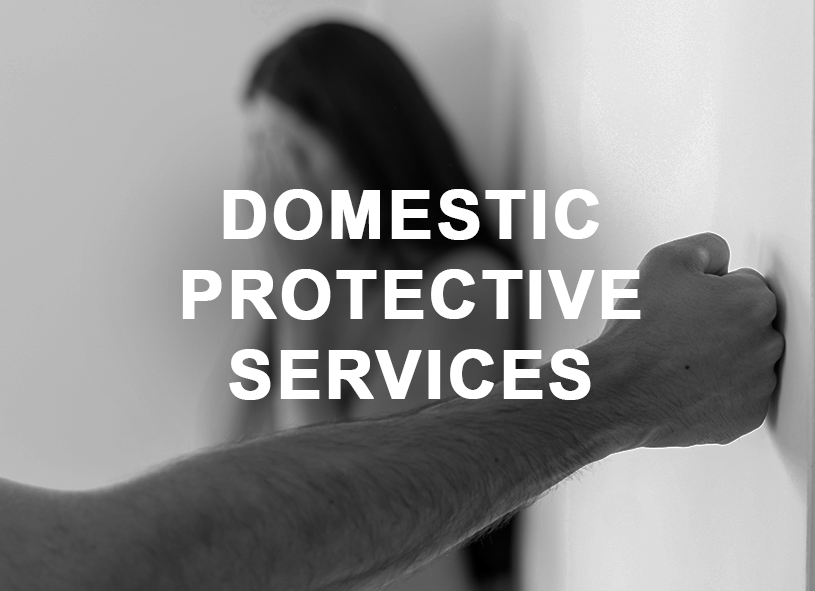domestic protective services