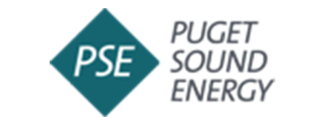 pse logo